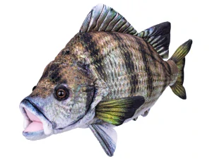 Kapr plyšový 45cm 0m+ v sáčku