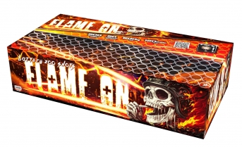 Flame on 200 ran / 14 mm /120 s