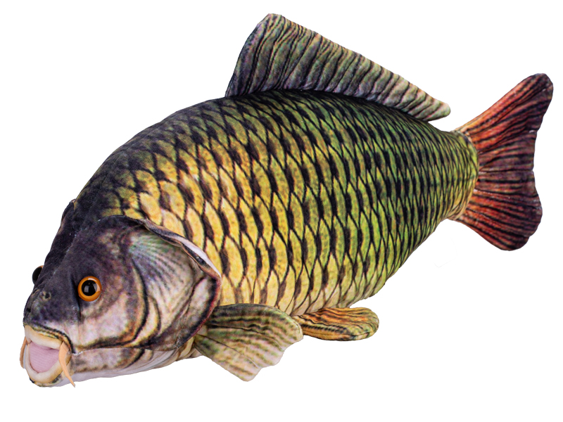  Mikro Trading Kapr  plyšový 52 cm 